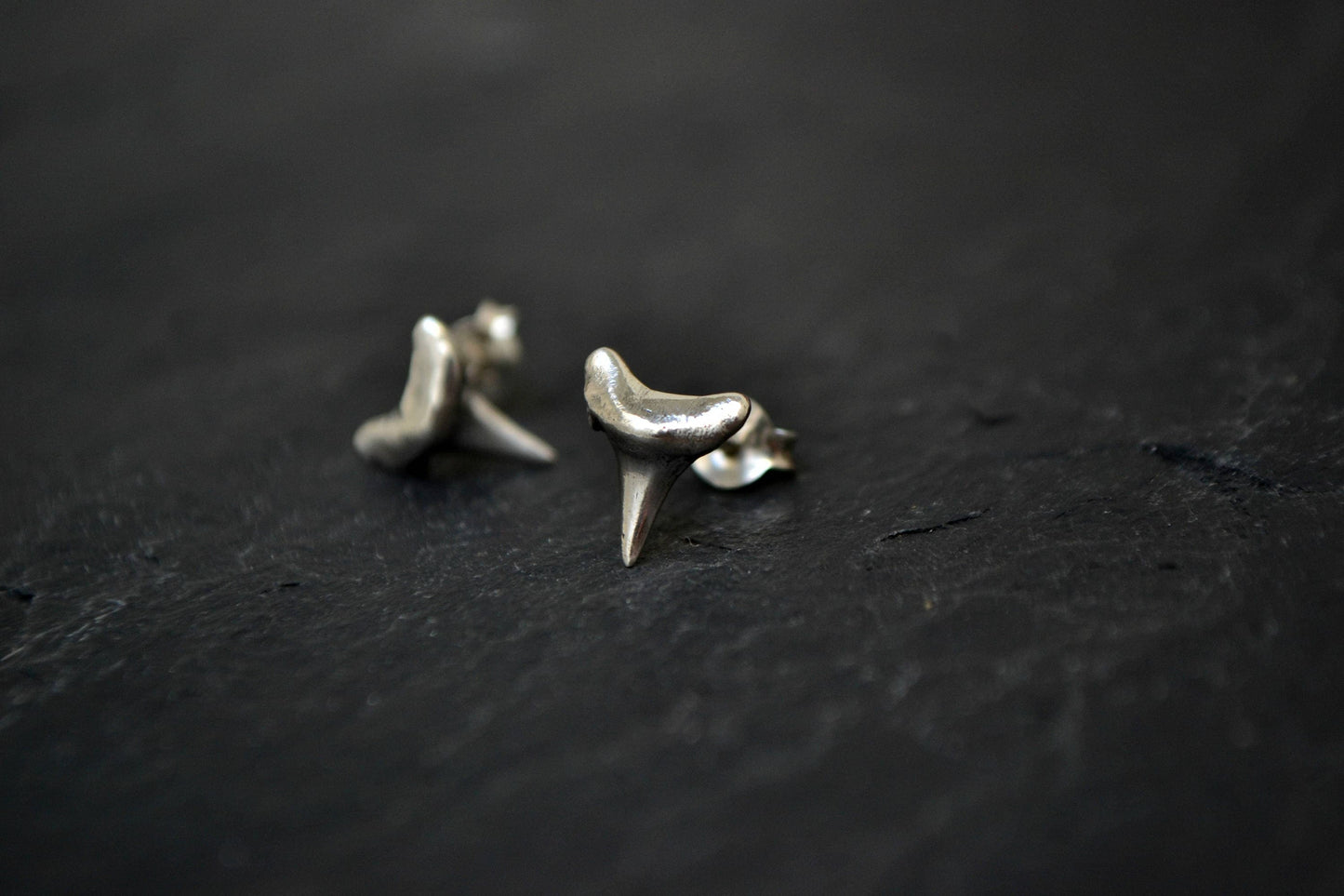 Shark Tooth Earrings Mens Stud Earrings Sterling Silver Beach Jewelry Surfer Jewelry Bridesmaid Gift