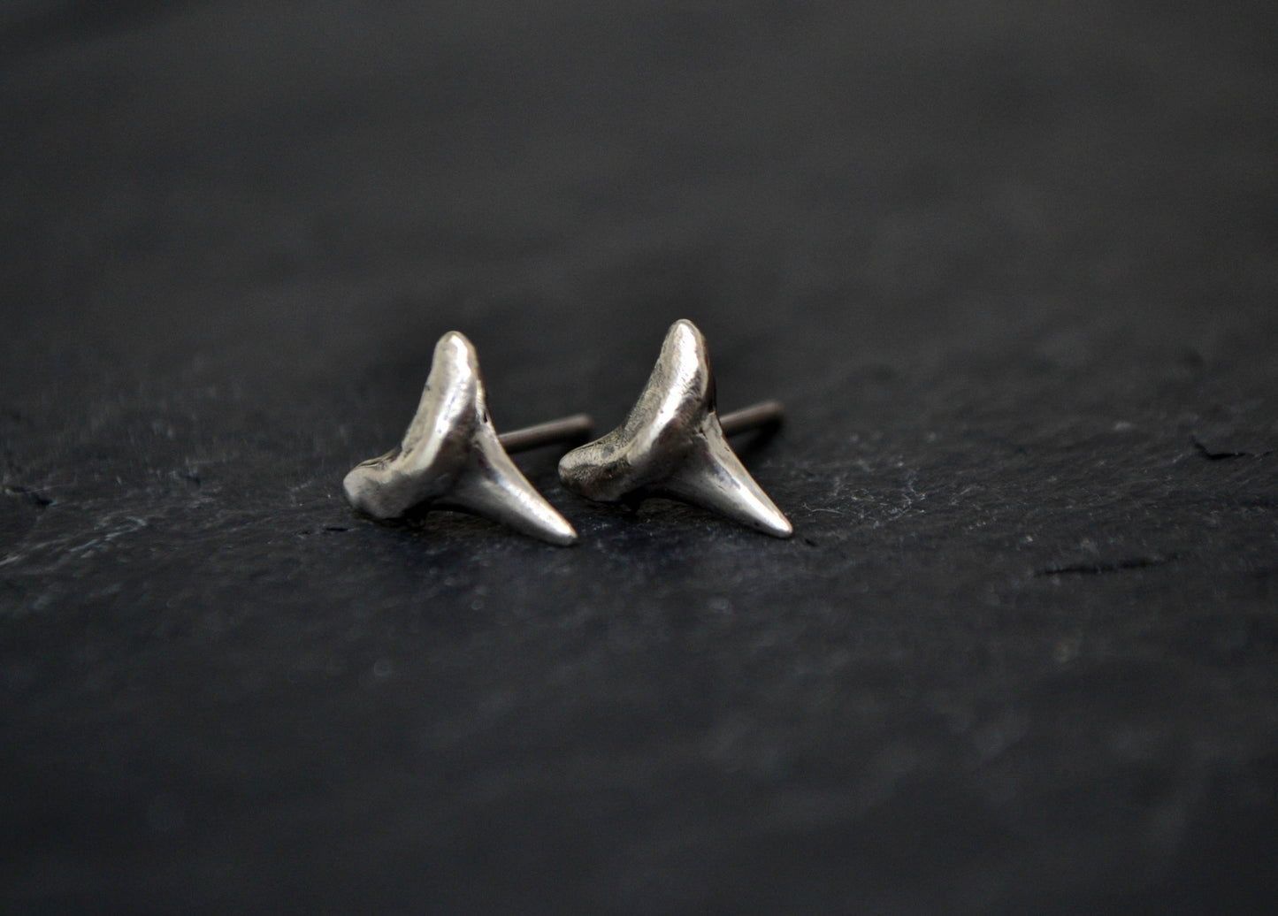 Shark Tooth Earrings Mens Stud Earrings Sterling Silver Beach Jewelry Surfer Jewelry Bridesmaid Gift