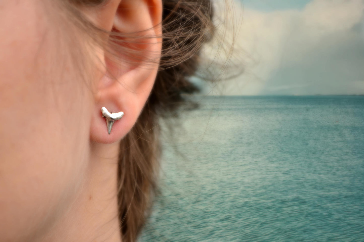 Shark Tooth Earrings Mens Stud Earrings Sterling Silver Beach Jewelry Surfer Jewelry Bridesmaid Gift