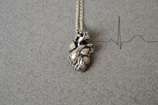 3D Anatomical Heart Necklace in Sterling Silver, Anatomy Necklace, Biology Jewelry, Gothic Necklace Medical Student Nurse Doctor Gift