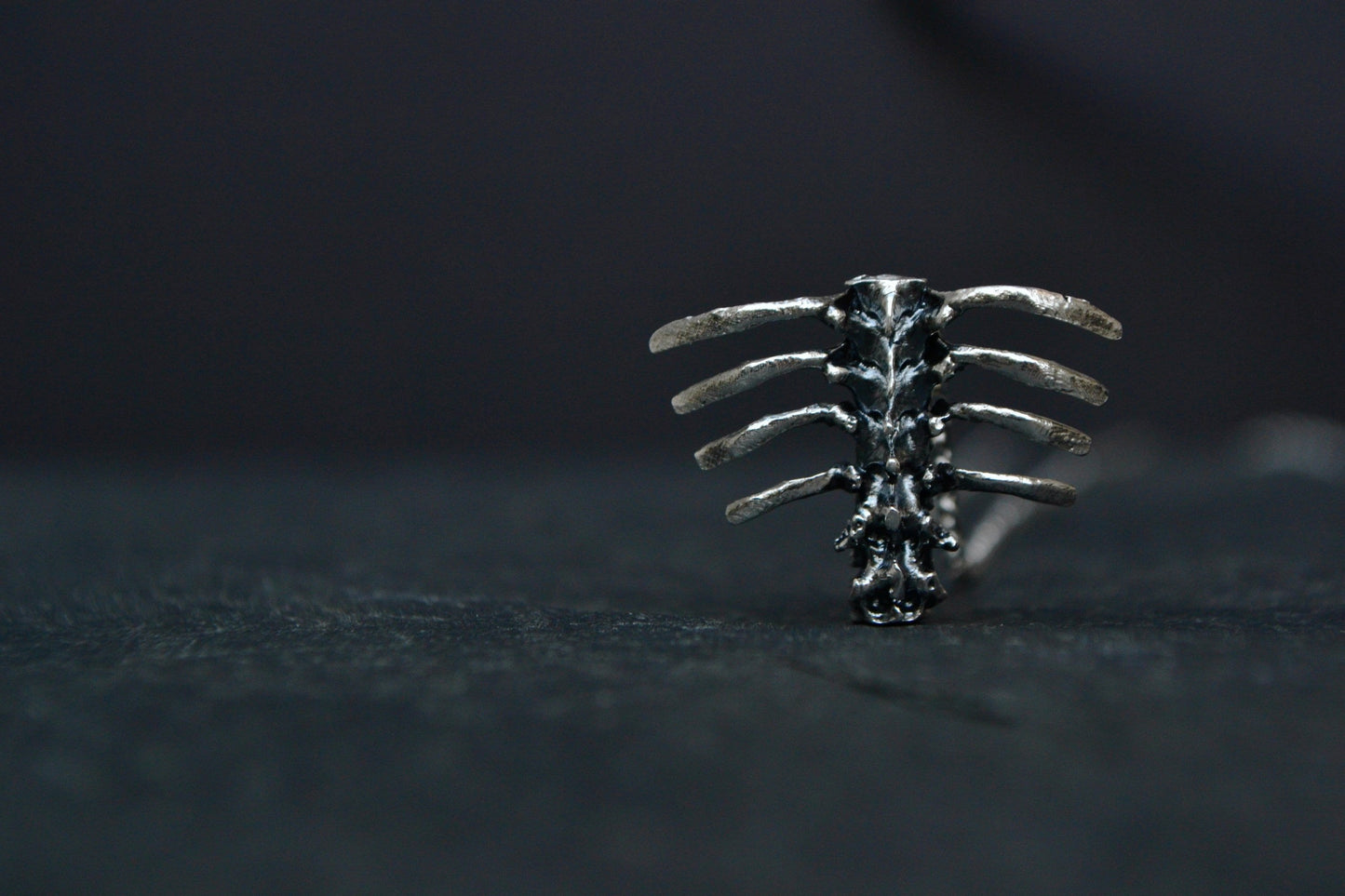 Anatomical Rib Cage Gothic 3d Necklace Sterling Silver Macabre Jewelry Ribcage Human Bones Anatomy Necklace Doctor Gift