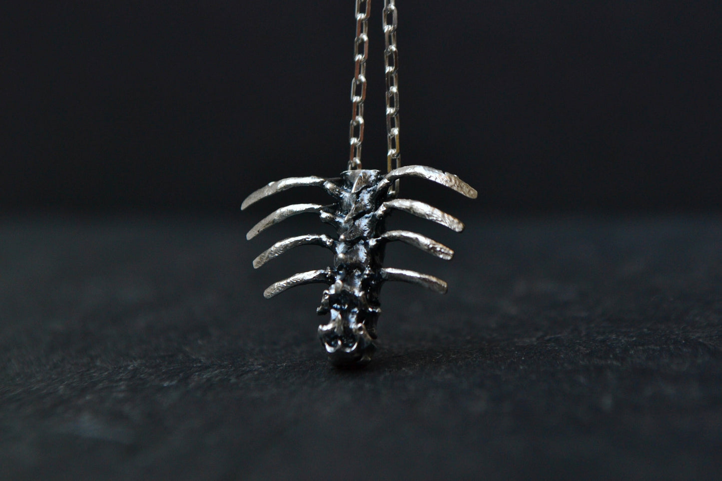 Anatomical Rib Cage Gothic 3d Necklace Sterling Silver Macabre Jewelry Ribcage Human Bones Anatomy Necklace Doctor Gift