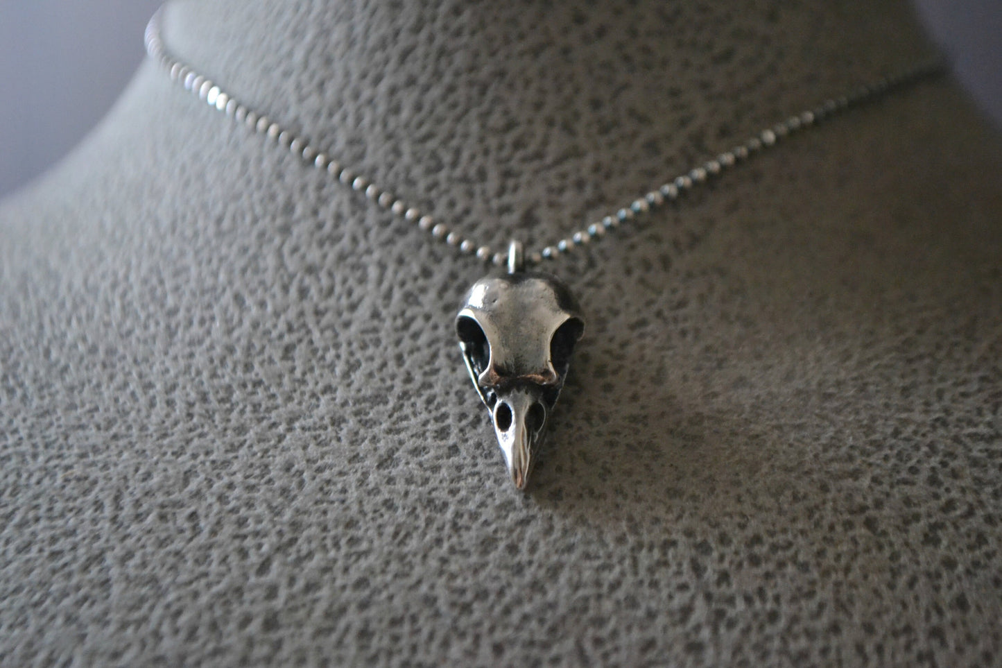 Raven Bird Skull Necklace Gothic Jewelry Gift Sterling Silver Taxidermy Necklace Odin Viking Jewelry